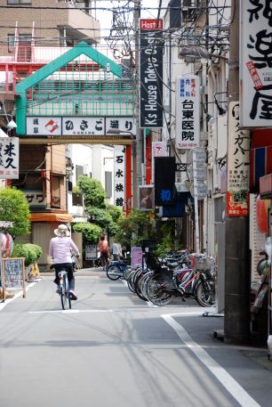 Back Alleys of Tokyo